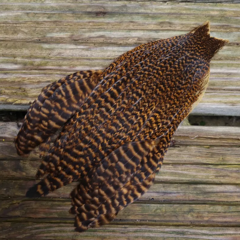 Whiting Exclusive Grizzly Hen Cape in Ginger-5